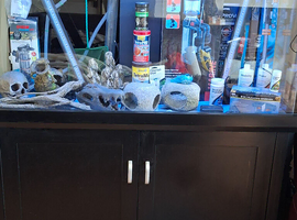 Aqua one fish tank