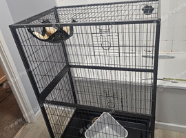Cage and everything with it