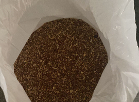 Grain