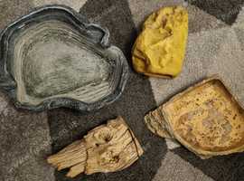 Reptile items