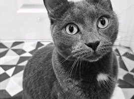 Marley