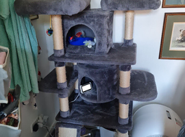 Large cat scratching post .