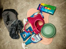 Girl Dog Bundle - Medium