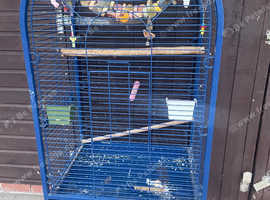Bird cages