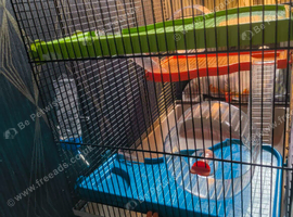 Hamster cage