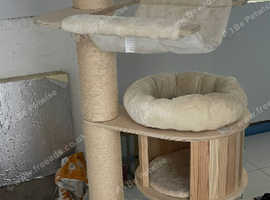 HIG QUALITYwooden cat scratch tree worth &pound;150