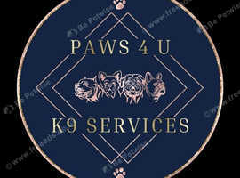 Paws 4 u. Dog fertility services & microchipping