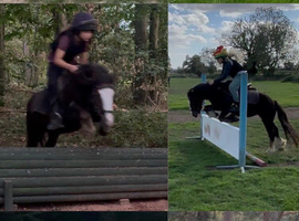 Fun pony