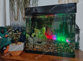 Complete Aquarium Setup with Fish & Accessories - &pound;120 ONO