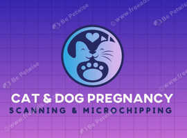 Cat & Dog Ultrasound pregnancy scanning