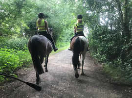 Freelance Groom Services