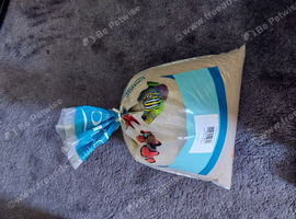 Sand Substrate