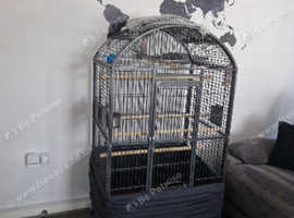 Parrot cage