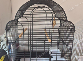 Bird cages