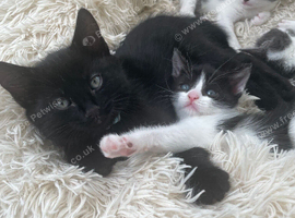 2 beautiful sisters