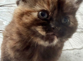 Stunning and adorable