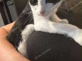 Sid around 5/6 months old.