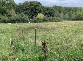 FREE GRAZING
