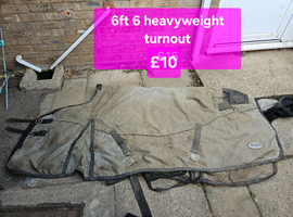 Lots of horsey items for sale bungay