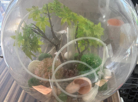 Bi-orb fish tank