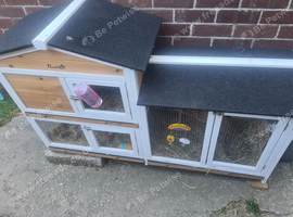 Rabbit and hutch
