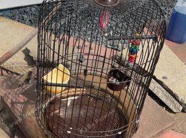 Barrel birdcage