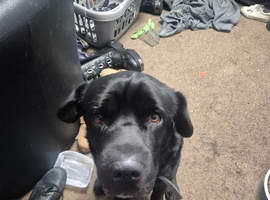 Looking for a new home due to a change in circumstances at home