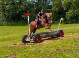 Super smart fun cob