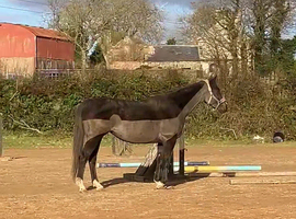 Available for part loan