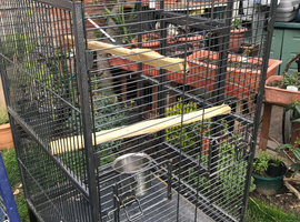 Nice parrot cage for sale
