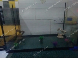 Fish tank
