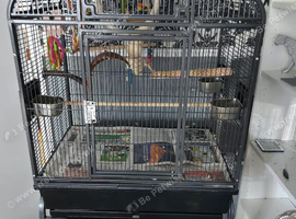 large parrot cage