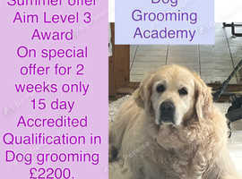 Aim L3 Award  summer sale   Your First step into a career in dog grooming