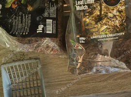 Ball python 4ft vivarium loads of extras