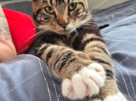Rehome