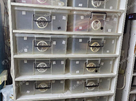 Two Large Reptile Rack Systems