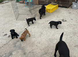 Patterdale