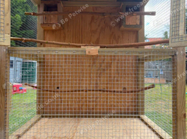Bird cage