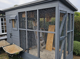 Rehome your budgies