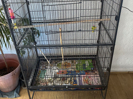 Bird Cage XL