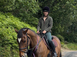 15.2 Thoroughbred
