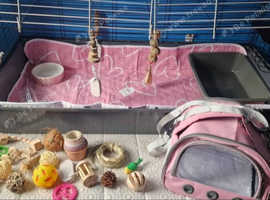 Beautiful set up for a bunny princess
