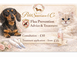 Luxury Pet Services and Grooming