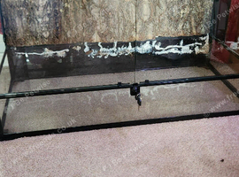 Reptile One Vivarium (LEEDS)