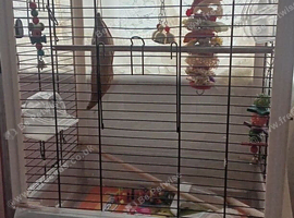BUDGIE CAGE X LARGE ON WHEELS 107cms tall