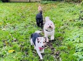 Rare group walk slot availability!