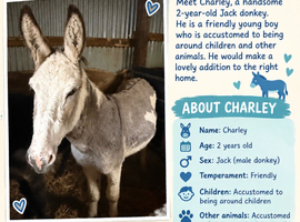 Charley