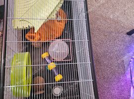 Hamster cage with extra bits