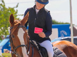 16.3hh Chestnut Mare