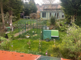Large walk-in cage and chicken coop